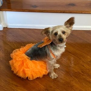 Meet your Posher, Gina